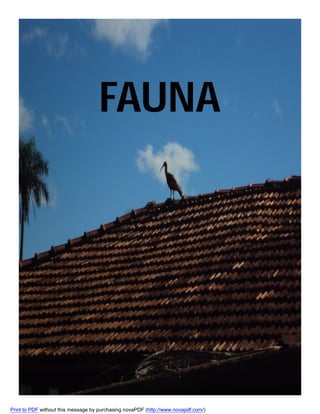 FAUNA

Print to PDF without this message by purchasing novaPDF (http://www.novapdf.com/)

 