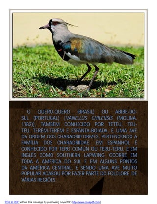 O QUERO-QUERO (BRASIL) OU ABIBE-DOSUL (PORTUGAL) [VANELLUS CHILENSIS (MOLINA,
1782)], TAMBÉM CONHECIDO POR TETÉU, TÉUTÉU, TERÉM-TERÉM E ESPANTA-BOIADA, É UMA AVE
DA ORDEM DOS CHARADRIIFORMES, PERTENCENDO A
FAMÍLIA DOS CHARADRIIDAE. EM ESPANHOL É
CONHECIDO POR TERO COMÚN OU TERU-TERU, E EM
INGLÊS COMO SOUTHERN LAPWING. OCORRE EM
TODA A AMÉRICA DO SUL E EM ALGUNS PONTOS
DA AMÉRICA CENTRAL, E SENDO UMA AVE MUITO
POPULAR ACABOU POR FAZER PARTE DO FOLCLORE DE
VÁRIAS REGIÕES.

Print to PDF without this message by purchasing novaPDF (http://www.novapdf.com/)

 