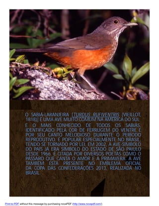 O SABIÁ-LARANJEIRA [TURDUS RUFIVENTRIS (VIEILLOT,
1818)] É UMA AVE MUITO COMUM NA AMÉRICA DO SUL
E O MAIS CONHECIDO DE TODOS OS SABIÁS,
IDENTIFICADO PELA COR DE FERRUGEM DO VENTRE E
POR SEU CANTO MELODIOSO DURANTE O PERÍODO
REPRODUTIVO. É POPULAR ESPECIALMENTE NO BRASIL,
TENDO SE TORNADO POR LEI, EM 2002, A AVE-SÍMBOLO
DO PAÍS JÁ ERA SÍMBOLO DO ESTADO DE SÃO PAIULO
DESDE 1966. É CITADA POR DIVERSOS POETAS COMO O
PÁSSARO QUE CANTA O AMOR E A PRIMAVERA. A AVE
TAMBÉM ESTÁ PRESENTE NO EMBLEMA OFICIAL
DA COPA DAS CONFEDERAÇÕES 2013, REALIZADA NO
BRASIL.

Print to PDF without this message by purchasing novaPDF (http://www.novapdf.com/)

 