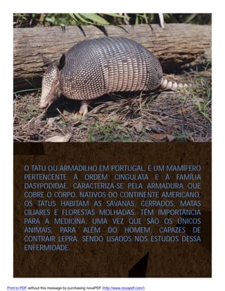O TATU OU ARMADILHO EM PORTUGAL, É UM MAMÍFERO
PERTENCENTE À ORDEM CINGULATA E À FAMÍLIA
DASYPODIDAE. CARACTERIZA-SE PELA ARMADURA QUE
COBRE O CORPO. NATIVOS DO CONTINENTE AMERICANO,
OS TATUS HABITAM AS SAVANAS, CERRADOS, MATAS
CILIARES E FLORESTAS MOLHADAS. TÊM IMPORTÂNCIA
PARA A MEDICINA, UMA VEZ QUE SÃO OS ÚNICOS
ANIMAIS, PARA ALÉM DO HOMEM, CAPAZES DE
CONTRAIR LEPRA, SENDO USADOS NOS ESTUDOS DESSA
ENFERMIDADE.

Print to PDF without this message by purchasing novaPDF (http://www.novapdf.com/)

 
