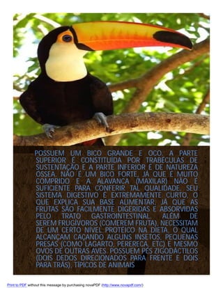 POSSUEM UM BICO GRANDE E OCO. A PARTE
SUPERIOR É CONSTITUÍDA POR TRABÉCULAS DE
SUSTENTAÇÃO E A PARTE INFERIOR É DE NATUREZA
ÓSSEA. NÃO É UM BICO FORTE, JÁ QUE É MUITO
COMPRIDO E A ALAVANCA (MAXILAR) NÃO É
SUFICIENTE PARA CONFERIR TAL QUALIDADE. SEU
SISTEMA DIGESTIVO É EXTREMAMENTE CURTO, O
QUE EXPLICA SUA BASE ALIMENTAR, JÁ QUE AS
FRUTAS SÃO FACILMENTE DIGERIDAS E ABSORVIDAS
PELO TRATO GASTROINTESTINAL. ALÉM DE
SEREM FRUGÍVOROS (COMEREM FRUTA), NECESSITAM
DE UM CERTO NÍVEL PROTÉICO NA DIETA, O QUAL
ALCANÇAM CAÇANDO ALGUNS INSETOS, PEQUENAS
PRESAS (COMO LAGARTO, PERERECA, ETC) E MESMO
OVOS DE OUTRAS AVES. POSSUEM PÉS ZIGODÁCTILOS
(DOIS DEDOS DIRECIONADOS PARA FRENTE E DOIS
PARA TRÁS), TÍPICOS DE ANIMAIS
Print to PDF without this message by purchasing novaPDF (http://www.novapdf.com/)

 