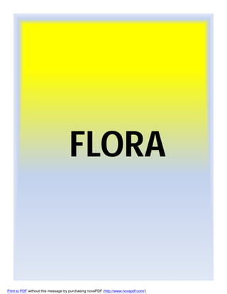 FLORA

Print to PDF without this message by purchasing novaPDF (http://www.novapdf.com/)

 