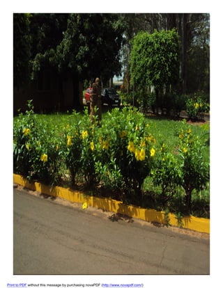 Print to PDF without this message by purchasing novaPDF (http://www.novapdf.com/)

 