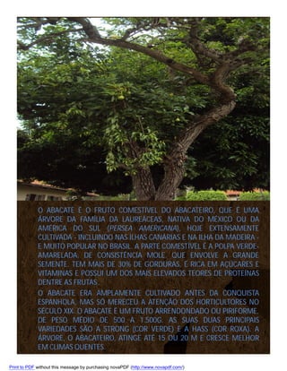 O ABACATE É O FRUTO COMESTÍVEL DO ABACATEIRO, QUE É UMA
ÁRVORE DA FAMÍLIA DA LAUREÁCEAS, NATIVA DO MÉXICO OU DA
AMÉRICA DO SUL (PERSEA AMERICANA), HOJE EXTENSAMENTE
CULTIVADA - INCLUINDO NAS ILHAS CANÁRIAS E NA ILHA DA MADEIRA E MUITO POPULAR NO BRASIL. A PARTE COMESTÍVEL É A POLPA VERDEAMARELADA, DE CONSISTÊNCIA MOLE, QUE ENVOLVE A GRANDE
SEMENTE. TEM MAIS DE 30% DE GORDURAS, É RICA EM AÇÚCARES E
VITAMINAS E POSSUI UM DOS MAIS ELEVADOS TEORES DE PROTEÍNAS
DENTRE AS FRUTAS.
O ABACATE ERA AMPLAMENTE CULTIVADO ANTES DA CONQUISTA
ESPANHOLA, MAS SÓ MERECEU A ATENÇÃO DOS HORTICULTORES NO
SÉCULO XIX. O ABACATE É UM FRUTO ARRENDONDADO OU PIRIFORME,
DE PESO MÉDIO DE 500 A 1.500G. AS SUAS DUAS PRINCIPAIS
VARIEDADES SÃO A STRONG (COR VERDE) E A HASS (COR ROXA). A
ÁRVORE, O ABACATEIRO, ATINGE ATÉ 15 OU 20 M E CRESCE MELHOR
EM CLIMAS QUENTES.
Print to PDF without this message by purchasing novaPDF (http://www.novapdf.com/)

 