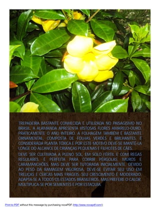 TREPADEIRA BASTANTE CONHECIDA E UTILIZADA NO PAISAGISMO NO
BRASIL. A ALAMANDA APRESENTA VISTOSAS FLORES AMARELO-OURO,
PRATICAMENTE O ANO INTEIRO. A FOLHAGEM TAMBÉM É BASTANTE
ORNAMENTAL, COMPOSTA DE FOLHAS VERDES E BRILHANTES. É
CONSIDERADA PLANTA TÓXICA E POR ESTE MOTIVO DEVE-SE MANTÊ-LA
LONGE DO ALCANCE DE CRIANÇAS PEQUENAS E FILHOTES DE CÃES.
DEVE SER CULTIVADA A PLENO SOL, EM SOLO FÉRTIL E COM REGAS
REGULARES. É PERFEITA PARA COBRIR PÉRGOLAS, MUROS E
CARAMANCHÕES, MAS DEVE SER TUTORADA INICIALMENTE. DEVIDO
AO PESO DA RAMAGEM VIGOROSA, DEVE-SE EVITAR SEU USO EM
TRELIÇAS E CERCAS MAIS FRÁGEIS. SEU CRESCIMENTO É MODERADO.
ADAPTA-SE A TODOS OS ESTADOS BRASILEIROS, MAS PREFERE O CALOR.
MULTIPLICA-SE POR SEMENTES E POR ESTAQUIA.

Print to PDF without this message by purchasing novaPDF (http://www.novapdf.com/)

 