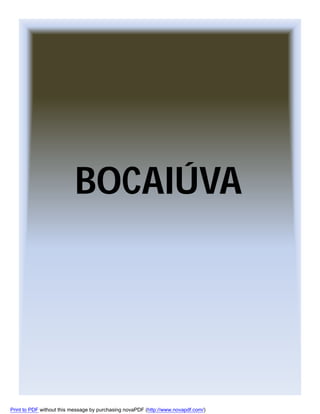 BOCAIÚVA

Print to PDF without this message by purchasing novaPDF (http://www.novapdf.com/)

 