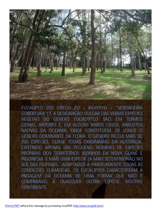 EUCALIPTO (DO GREGO EU + ΚΑΛΎΠΤΩ = "VERDADEIRA
COBERTURA") É A DESIGNAÇÃO VULGAR DAS VÁRIAS ESPÉCIES
VEGETAIS DO GÉNERO EUCALYPTUS. SÃO, EM TERMOS
GERAIS, ÁRVORES E, EM ALGUNS RAROS CASOS, ARBUSTOS
NATIVAS DA OCEANIA, ONDE CONSTITUEM, DE LONGE O
GÊNERO DOMINANTE DA FLORA. O GÊNERO INCLUI MAIS DE
700 ESPÉCIES, QUASE TODAS ORIGINÁRIAS DA AUSTRÁLIA,
EXISTINDO APENAS UM PEQUENO NÚMERO DE ESPÉCIES
PRÓPRIAS DOS TERRITÓRIOS VIZINHOS DA NOVA GUINÉ E
INDONÉSIA E MAIS UMA ESPÉCIE (A MAIS SETENTRIONAL) NO
SUL DAS FILIPINAS. ADAPTADOS A PRATICAMENTE TODAS AS
CONDIÇÕES CLIMÁTICAS, OS EUCALIPTOS CARACTERIZAM A
PAISAGEM DA OCEANIA DE UMA FORMA QUE NÃO É
COMPARÁVEL A QUALQUER OUTRA ESPÉCIE, NOUTRO
CONTINENTE.

Print to PDF without this message by purchasing novaPDF (http://www.novapdf.com/)

 