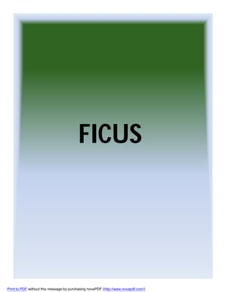 FICUS

Print to PDF without this message by purchasing novaPDF (http://www.novapdf.com/)

 