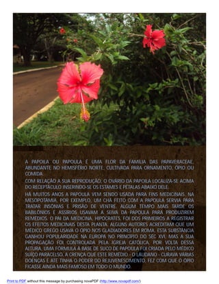 A PAPOILA OU PAPOULA É UMA FLOR DA FAMÍLIA DAS PAPAVERACEAE,
ABUNDANTE NO HEMISFÉRIO NORTE, CULTIVADA PARA ORNAMENTO, ÓPIO OU
COMIDA.
COM RELAÇÃO A SUA REPRODUÇÃO, O OVÁRIO DA PAPOILA LOCALIZA-SE ACIMA
DO RECEPTÁCULO INSERINDO-SE OS ESTAMES E PÉTALAS ABAIXO DELE.
HÁ MUITOS ANOS A PAPOULA VEM SENDO USADA PARA FINS MEDICINAIS. NA
MESOPOTÂMIA, POR EXEMPLO, UM CHÁ FEITO COM A PAPOULA SERVIA PARA
TRATAR INSÔNIAS E PRISÃO DE VENTRE. ALGUM TEMPO MAIS TARDE OS
BABILÔNIOS E ASSÍRIOS USAVAM A SEIVA DA PAPOULA PARA PRODUZIREM
REMÉDIOS. O PAI DA MEDICINA, HIPÓCRATES, FOI DOS PRIMEIROS A REGISTRAR
OS EFEITOS MEDICINAIS DESTA PLANTA. ALGUNS AUTORES ACREDITAM QUE UM
MÉDICO GREGO USAVA O ÓPIO NOS GLADIADORES EM ROMA. ESTA SUBSTÂNCIA
GANHOU POPULARIDADE NA EUROPA NO PRINCÍPIO DO SÉC XVI, MAS A SUA
PROPAGAÇÃO FOI CONTROLADA PELA IGREJA CATÓLICA. POR VOLTA DESSA
ALTURA, UMA FÓRMULA À BASE DE SUCO DE PAPOULA FOI CRIADA PELO MÉDICO
SUÍÇO PARACELSO. A CRENÇA QUE ESTE REMÉDIO - O LÁUDANO - CURAVA VÁRIAS
DOENÇAS E ATÉ TINHA O PODER DO REJUVENESCIMENTO, FEZ COM QUE O ÓPIO
FICASSE AINDA MAIS FAMOSO EM TODO O MUNDO.
Print to PDF without this message by purchasing novaPDF (http://www.novapdf.com/)

 