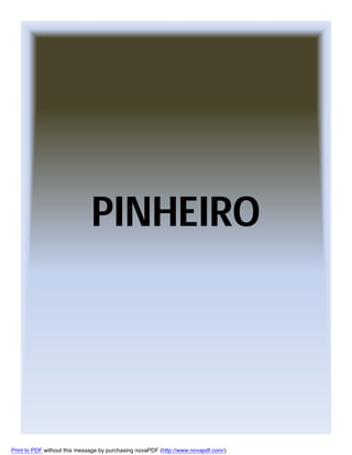 PINHEIRO

Print to PDF without this message by purchasing novaPDF (http://www.novapdf.com/)

 