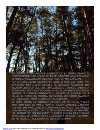 OS PINHEIROS SÃO ÁRVORES PERTENCENTES À DIVISÃO PINOPHYTA,
TRADICIONALMENTE INCLUÍDA NO GRUPO DAS GIMNOSPÉRMICAS. ESTE ARTIGO
SE REFERE APENAS ÀS PLANTAS DO GÉNERO PINUS, DA FAMÍLIA PINACEAE.
SÃO NATIVOS A MAIORIA DO HEMISFÉRIO NORTE. NA AMÉRICA DO NORTE, COM
DIVERSIDADE MAIS ALTA NO MÉXICO E NA CALIFÓRNIA. NA EURÁSIA, ELES
OCORREM DESDE PORTUGAL E LESTE DA ESCÓCIA ATÉ O EXTREMO ORIENTAL DA
RÚSSIA, JAPÃO, NORTE DA ÁFRICA, O HIMALAIA COM UMA ESPÉCIE FORMANDO A
FLORESTA DE CONÍFERAS SUBTROPICAL, O (PINHEIRO DE SUMATRA) QUE JÁ
CRUZOU O EQUADOR EM SUMATRA. OS PINHEIROS SÃO TAMBÉM PLANTADOS
EXTENSIVAMENTE EM MUITAS PARTES DO HEMISFÉRIO SUL.
NO BRASIL TAMBÉM SÃO CHAMADOS PINHEIROS, ESPÉCIES QUE NA VERDADE
NÃO FAZEM PARTE DA FAMÍLIA PINACEAE, COMO A ARAUCÁRIA (ARAUCARIA
ANGUSTIFOLIA), MAIS CONHECIDA COMO PINHEIRO-DO-PARANÁ. ESTE PERTENCE
A FAMÍLIA ARAUCARIACEAE, QUE É PEQUENA E NATIVA APENAS DO HEMISFÉRIO
SUL. ABRANGE DOIS GÊNEROS SOMENTE: O AGATHIS, (NATURAL DA AUSTRÁLIA) E
O ARAUCARIA QUE APARECE NO CHILE, ARGENTINA E SUL-SUDESTE DO BRASIL,
EM REGIÕES DE ALTITUDE ELEVADA, OU SEJA, ACIMA DE 500 M.

Print to PDF without this message by purchasing novaPDF (http://www.novapdf.com/)

 