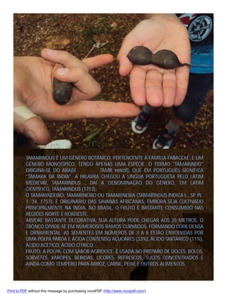 TAMARINDUS É UM GÉNERO BOTÂNICO, PERTENCENTE À FAMÍLIA FABACEAE. É UM
GÊNERO MONOTÍPICO, TENDO APENAS UMA ESPÉCIE. O TERMO "TAMARINDO"
ORIGINA-SE DO ÁRABE
TAMR HINDĪ], QUE EM PORTUGUÊS SIGNIFICA
"TÂMARA DA ÍNDIA". A PALAVRA CHEGOU À LÍNGUA PORTUGUESA PELO LATIM
MEDIEVAL TAMARINDUS , DAÍ A DENOMINAÇÃO DO GÊNERO, EM LATIM
CIENTÍFICO, TAMARINDUS (1753).
O TAMARINDEIRO, TAMARINEIRO OU TAMARINEIRA (TAMARINDUS INDICA L., SP. PL.
1: 34. 1753), É ORIGINÁRIO DAS SAVANAS AFRICANAS, EMBORA SEJA CULTIVADO
PRINCIPALMENTE NA ÍNDIA. NO BRASIL, O FRUTO É BASTANTE CONSUMIDO NAS
REGIÕES NORTE E NORDESTE.
ÁRVORE BASTANTE DECORATIVA, SUA ALTURA PODE CHEGAR AOS 25 METROS. O
TRONCO DIVIDE-SE EM NUMEROSOS RAMOS CURVADOS, FORMANDO COPA DENSA
E ORNAMENTAL. AS SEMENTES EM NÚMEROS DE 3 A 8 ESTÃO ENVOLVIDAS POR
UMA POLPA PARDA E ÁCIDA CONTENDO AÇUCARES (33%), ÁCIDO TARTÁRICO (11%),
ÁCIDO ACÉTICO, ÁCIDO CÍTRICO.
FRUTO: A POLPA, COM SABOR AGRIDOCE, É USADA NO PREPARO DE DOCES, BOLOS,
SORVETES, XAROPES, BEBIDAS, LICORES, REFRESCOS, SUCOS CONCENTRADOS E
AINDA COMO TEMPERO PARA ARROZ, CARNE, PEIXE E OUTROS ALIMENTOS.

Print to PDF without this message by purchasing novaPDF (http://www.novapdf.com/)

 