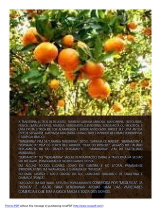 A TANGERINA (CITRUS RETICULATA), TAMBÉM LARANJA-MIMOSA, MANDARINA, FUXIQUEIRA,
PONCÃ, LARANJA-CRAVO, MIMOSA, VERGAMOTA,CLEMENTINA, BERGAMOTA OU MEXERICA, É
UMA FRUTA CÍTRICA DE COR ALARANJADA E SABOR ADOCICADO. PARECE SER UMA ANTIGA
ESPÉCIE SELVAGEM , NATIVA DA ÁSIA (ÍNDIA, CHINA E PAÍSES VIZINHOS DE CLIMAS SUBTROPICAL
E TROPICAL ÚMIDO).
"TANGERINA" VEM DE "LARANJA TANGERINA", ISTO É, "LARANJA DE TÂNGER". "BERGAMOTA" E
"VERGAMOTA" VÊM DO TURCO BEG ARMUDI, "PERA DO PRÍNCIPE", ATRAVÉS DO ITALIANO
BERGAMOTTA OU DO FRANCÊS BERGAMOTTE . "MANDARINA" VEM DO CASTELHANO
MANDARINA.
"BERGAMOTA" OU "VERGAMOTA" SÃO AS DENOMINAÇÕES DADAS À TANGERINA NA REGIÃO
SUL DO BRASIL, PRINCIPALMENTE NO RIO GRANDE DO SUL.
EM ALGUNS POUCOS LUGARES, COMO EM CURITIBA E NO LITORAL PARANAENSE
(PRINCIPALMENTE EM PARANAGUÁ), É CHAMADA DE "MIMOSA".
NO MATO GROSSO E MATO GROSSO DO SUL, QUALQUER QUALIDADE DE TANGERINA É
CHAMADA "PONCÃ".
EM GOIÁS E EM SÃO PAULO, A FRUTA É POPULARMENTE CONHECIDA POR "MEXERICA". JÁ

"PONCÃ" É USADO PARA DENOMINAR APENAS UMA DAS VARIEDADES
COMERCIAIS QUE TEM A CASCA MACIA E SOLTA DOS GOMOS.

Print to PDF without this message by purchasing novaPDF (http://www.novapdf.com/)

 