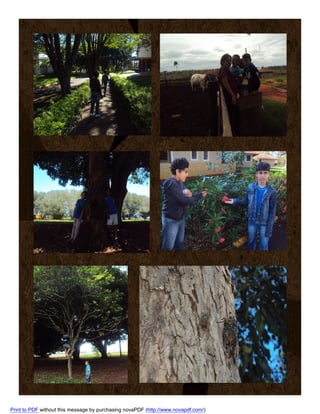 Print to PDF without this message by purchasing novaPDF (http://www.novapdf.com/)

 