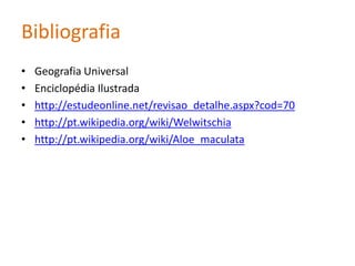Papiro  A planta mais vulgar dos pântanos africanos é o papiro. Cresce em maciços que muitas vezes são suficientemente cerrados para suportarem o peso de animais grandes.