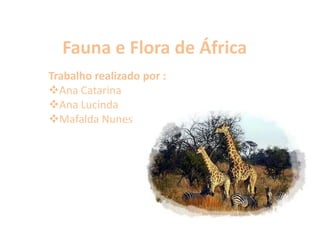 Fauna e Flora de África Trabalho realizado por : ,[object Object]