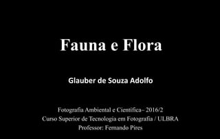 Fotografia Ambiental e Científica– 2016/2
Curso Superior de Tecnologia em Fotografia / ULBRA
Professor: Fernando Pires
Fauna e Flora
Glauber de Souza Adolfo
 
