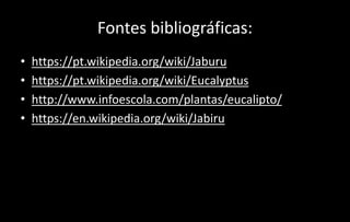 Fontes bibliográficas:
• https://pt.wikipedia.org/wiki/Jaburu
• https://pt.wikipedia.org/wiki/Eucalyptus
• http://www.infoescola.com/plantas/eucalipto/
• https://en.wikipedia.org/wiki/Jabiru
 