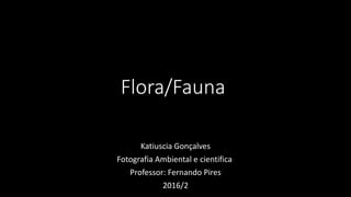 Flora/Fauna
Katiuscia Gonçalves
Fotografia Ambiental e cientifica
Professor: Fernando Pires
2016/2
 