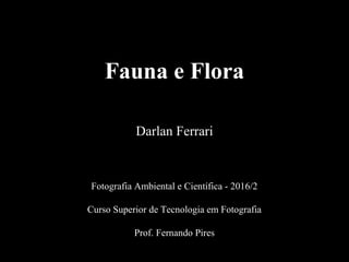 Fauna e Flora
Fotografia Ambiental e Científica - 2016/2
Curso Superior de Tecnologia em Fotografia
Prof. Fernando Pires
Darlan Ferrari
 