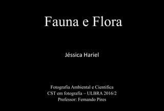 Fauna e Flora
Jéssica Hariel
Fotografia Ambiental e Cientifica
CST em fotografia – ULBRA 2016/2
Professor: Fernando Pires
 