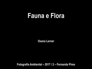 Fauna e Flora
Oxana Lerner
Fotografia Ambiental – 2017 / 2 – Fernando Pires
 