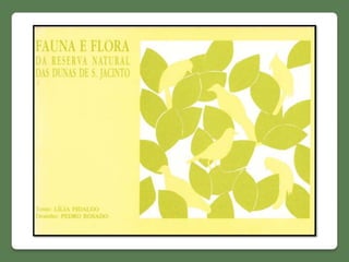 Fauna e flora - Dunas de S. Jacinto (AVEIRO)