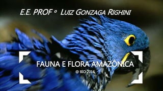 FAUNA E FLORA AMAZÔNICA
@ BIO 2016
E E PROF º LUIZ GONZAGA RIGHINI
 