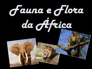 Fauna e Flora da África 