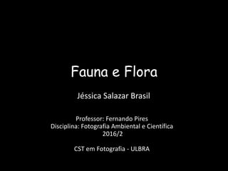 Fauna e Flora
Jéssica Salazar Brasil
Professor: Fernando Pires
Disciplina: Fotografia Ambiental e Científica
2016/2
CST em Fotografia - ULBRA
 
