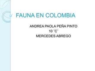 FAUNA EN COLOMBIA
ANDREA PAOLA PEÑA PINTO
10 ¨C¨
MERCEDES ABREGO

 