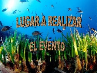 LUGAR A REALIZAR  EL EVENTO 