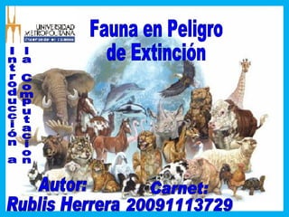 Fauna en Peligro de Extinción Autor: Rublis Herrera Carnet: 20091113729 Introducción a la Computacion 