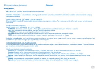 10
El reino animal y su clasificación Resumen
REINO ANIMAL
Clasificación: Animales vertebrados Animales invertebrados
Animales vertebrados - Los vertebrados son un grupo de animales con un esqueleto interno articulado, que actúa como soporte del cuerpo y
permite su movimiento.
CARACTARÍSTICAS DE LOS ANIMALES VERTEBRADOS
El sexo está diferenciado. El cuerpo está dividido en cabeza, tronco y extremidades. Tiene columna vertebral, formada por una serie de piezas
articuladas
Clasificación de los vertebrados:
MAMÍFEROS AVES ANFIBIOS REPTILES PECES
MAMÍFEROS: Su cuerpo cubierto de pelo. • Posee glándulas mamarias que producen leche para alimentar a sus crías.
AVES Son animales con sangre caliente, que para reproducirse ponen huevos
ANFIBIOS Tienen la piel, sin escama y además tienen metamorfosis. •
REPTILES Se caracterizan por su especial manera de andar, ya que andan arrastrando el vientre por el suelo
PECES Son animales recubiertos de escamas y poseen una aleta que les permite moverse en el agua.
Animales invertebrados - Los invertebrados carecen de columna, la mayoría tienen una protección interna, como si fuera una armadura, pero hay
invertebrados que no tienen ningún tipo de protección, como los pulpos.
CARACTERÍSTICAS DE LOS INVERTEBRADOS.
Ausencia de esqueleto interno. Experimentación de metamorfosis hasta llegar a la vida adulta. Individuos con simetría bilateral. Cuerpos formados
por verdaderos tejidos. Individuos con simetría radial
Clasificación de los animales invertebrados
Artrópodos Se caracterizan porque tienen su cuerpo y sus patas articulados, es decir, divididos en piezas que se mueven.
Moluscos Después de los insectos, los moluscos son los invertebrados más abundantes.
Gusanos Tienen el cuerpo alargado y blando, generalmente formado por anillos, suelen vivir en suelos húmedos o en el agua
Esponjas Tiene el aspecto de una planta, pero en realidad la esponja es un animal muy sencillo, con un agujero superior y muchos poros
laterales.
Medusas Son animales casi transparentes que flotan en el agua, su cuerpo es blando y tiene forma de paraguas.
Equinodermos Son animales marinos con simetría radial, como la que tienen la rueda de una bicicleta o una margarita
 