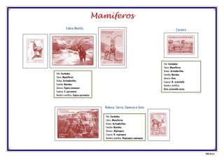 Filo: Cordados
Clase: Mamíferos
Orden: Artiodáctilos
Familia: Bóvidos
Género: Ovis
Especie: O. orientalis
Nombre científico:
Ovis orientalis aries
CarneroCabra Montés
Filo: Cordados
Clase: Mamíferos
Orden: Artiodáctilos
Familia: Bóvidos
Género: Capra Linnaeus
Especie: C. pyrenaica
Nombre científico: Capra pyrenaica
Filo: Cordados
Clase: Mamíferos
Orden: Artiodáctilos
Familia: Bóvidos
Género: Rupicapra
Especie: R. rupicapra
Nombre científico: Rupicapra rupicapra
Rebeco, Sarrio, Gamuza o Ante
Mamíferos
CFNH 2018 01
 
