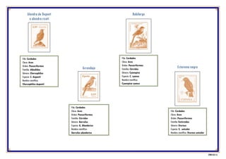 Alondra de Dupont
o alondra ricotí
Filo: Cordados
Clase: Aves
Orden: Passeriformes
Familia: Aláudidos
Género: Chersophilus
Especie: C. duponti
Nombre científico:
Chersophilus duponti
Rabilargo
Filo: Cordados
Clase: Aves
Orden: Passeriformes
Familia: Córvidos
Género: Cyanopica
Especie: C. cyanus
Nombre científico:
Cyanopica cyanus
Arrendajo
Filo: Cordados
Clase: Aves
Orden: Passeriformes
Familia: Córvidos
Género: Garrulus
Especie: G. Glandarius
Nombre científico:
Garrulus glandarius
Estornino negro
Filo: Cordados
Clase: Aves
Orden: Passeriformes
Familia: Estúrnidos
Género: Sturnus
Especie: S. unicolor
Nombre científico: Sturnus unicolor
CFNH 2018 12
 