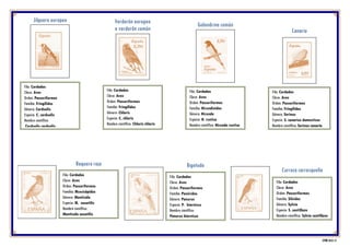 Verderón europeo
o verderón común
Filo: Cordados
Clase: Aves
Orden: Passeriformes
Familia: Fringílidos
Género: Chloris
Especie: C. chloris
Nombre científico: Chloris chloris
isabellae.
Canario
Filo: Cordados
Clase: Aves
Orden: Passeriformes
Familia: Fringílidos
Género: Serinus
Especie: S. canarius domesticus
Nombre científico: Serinus canaria
Filo: Cordados
Clase: Aves
Orden: Passeriformes
Familia: Fringílidos
Género: Carduelis
Especie: C. carduelis
Nombre científico:
Carduelis carduelis
Jilguero europeo
Filo: Cordados
Clase: Aves
Orden: Passeriformes
Familia: Hirundínidos
Género: Hirundo
Especie: H. rustica
Nombre científico: Hirundo rustica
Golondrina común
Filo: Cordados
Clase: Aves
Orden: Passeriformes
Familia: Sílvidos
Género: Sylvia
Especie: S. cantillans
Nombre científico: Sylvia cantillans
Curruca carrasqueña
Roquero rojo
Filo: Cordados
Clase: Aves
Orden: Passeriformes
Familia: Muscicápidos
Género: Monticola
Especie: M. saxatilis
Nombre científico:
Monticola saxatilis
Bigotudo
Filo: Cordados
Clase: Aves
Orden: Passeriformes
Familia: Panúridos
Género: Panurus
Especie: P. biarnicus
Nombre científico:
Panurus biarnicus
CFNH 2018 13
 
