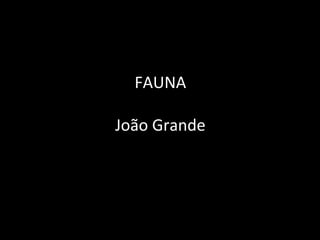 FAUNA
João Grande
 