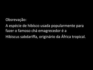 Obsrevação:
A espécie de hibísco usada popularmente para
fazer o famoso chá emagrecedor é a
Hibiscus sabdariffa, originário da África tropical.
 