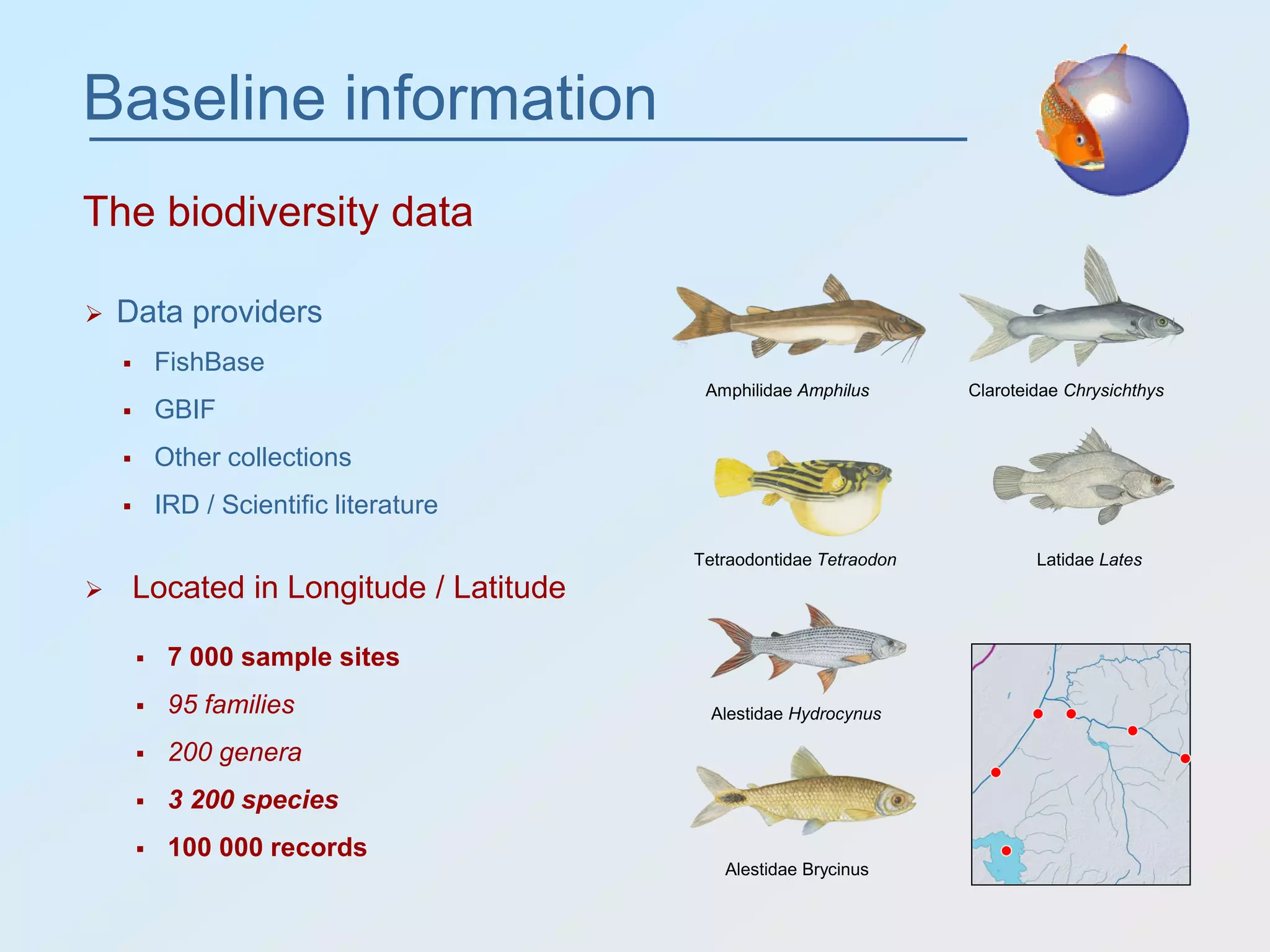 Baseline information
The biodiversity data
 Data providers
 Located in Longitude / Latitude
 FishBase
 GBIF
 Other collections
 IRD / Scientific literature
 7 000 sample sites
 95 families
 200 genera
 3 200 species
 100 000 records
Claroteidae Chrysichthys
Alestidae Hydrocynus
Amphilidae Amphilus
Tetraodontidae Tetraodon
Alestidae Brycinus
Latidae Lates
 