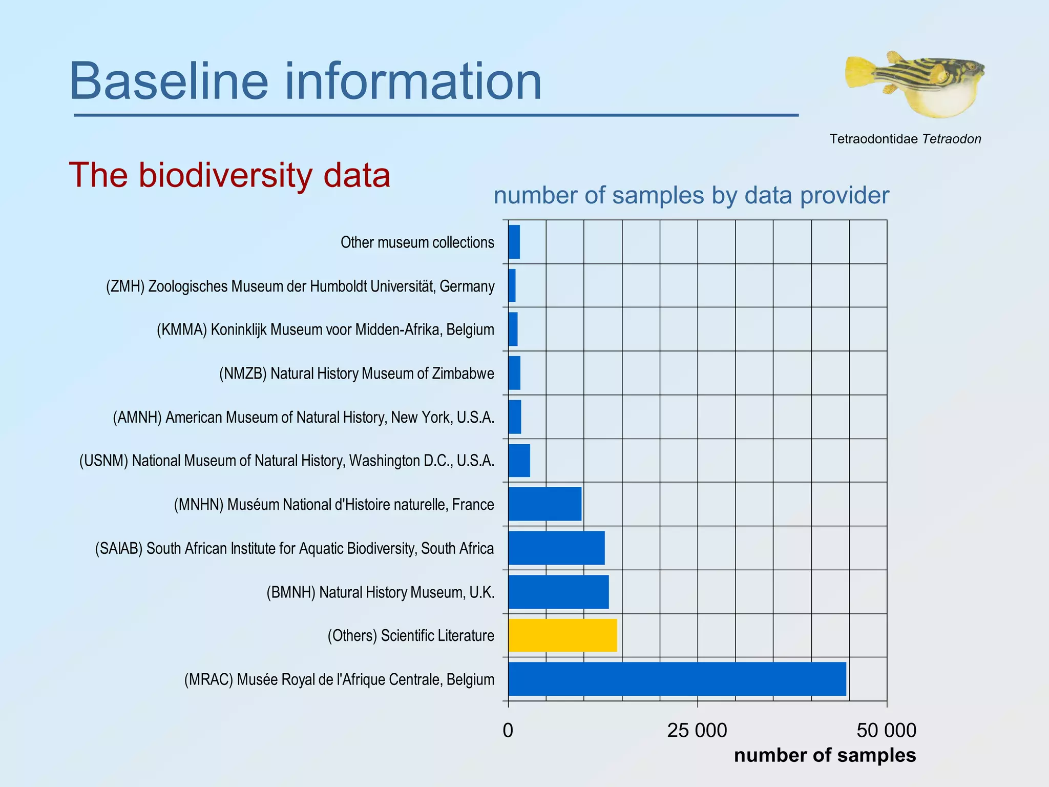 Baseline information
The biodiversity data
Tetraodontidae Tetraodon
0 25 000 50 000
(MRAC) Musée Royal de l'Afrique Centrale, Belgium
(Others) Scientific Literature
(BMNH) Natural History Museum, U.K.
(SAIAB) South African Institute for Aquatic Biodiversity, South Africa
(MNHN) Muséum National d'Histoire naturelle, France
(USNM) National Museum of Natural History, Washington D.C., U.S.A.
(AMNH) American Museum of Natural History, New York, U.S.A.
(NMZB) Natural History Museum of Zimbabwe
(KMMA) Koninklijk Museum voor Midden-Afrika, Belgium
(ZMH) Zoologisches Museum der Humboldt Universität, Germany
Other museum collections
number of samples
number of samples by data provider
 