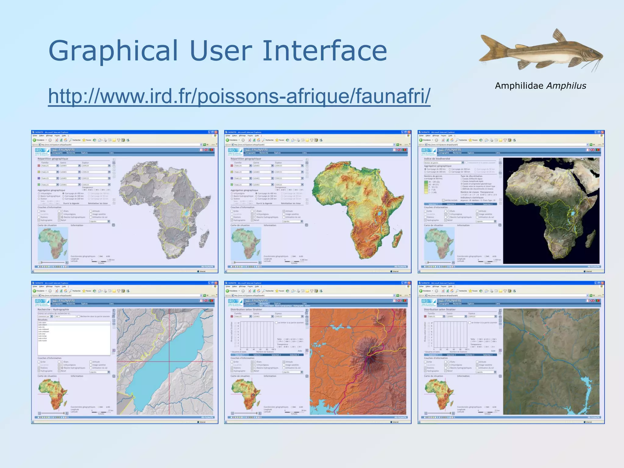 Graphical User Interface
Amphilidae Amphilus
http://www.ird.fr/poissons-afrique/faunafri/
 