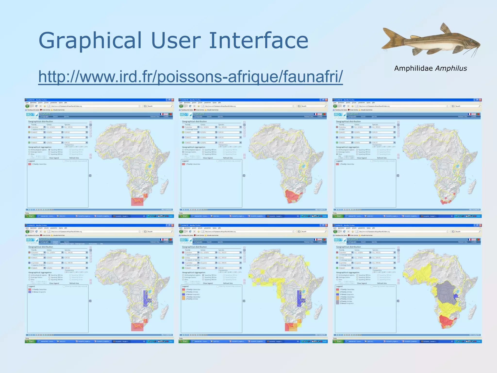 Graphical User Interface
Amphilidae Amphilus
http://www.ird.fr/poissons-afrique/faunafri/
 