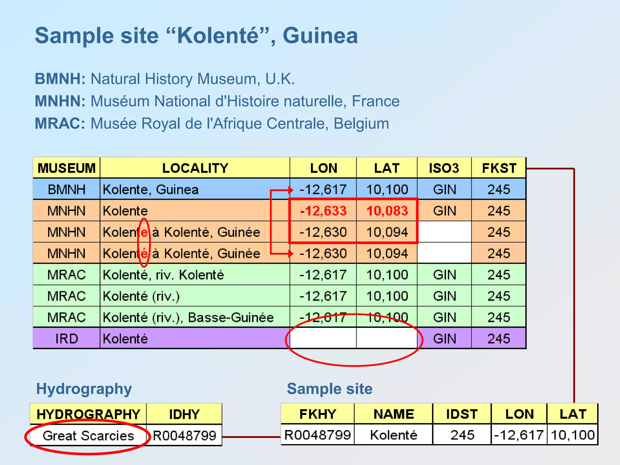 Hydrography
Sample site “Kolenté”, Guinea
Sample site
BMNH: Natural History Museum, U.K.
MNHN: Muséum National d'Histoire naturelle, France
MRAC: Musée Royal de l'Afrique Centrale, Belgium
 