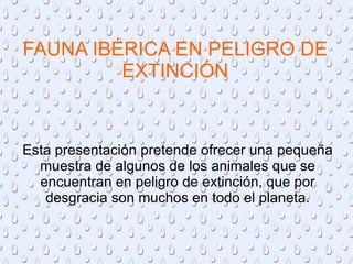 FAUNA IBÉRICA EN PELIGRO DE EXTINCIÓN Esta presentación pretende ofrecer una pequeña muestra de algunos de los animales que se encuentran en peligro de extinción, que por desgracia son muchos en todo el planeta. 