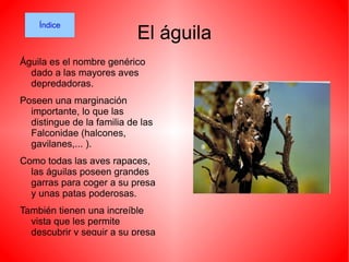 Se alimenta de presas