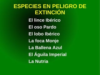 ESPECIES EN PELIGRO DE EXTINCIÓN El lince Ibérico