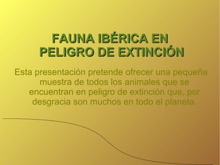 FAUNA IBÉRICA EN
PELIGRO DE EXTINCIÓN
Esta presentación pretende ofrecer una pequeña
muestra de todos los animales que se
encuentran en peligro de extinción que, por
desgracia son muchos en todo el planeta.

 