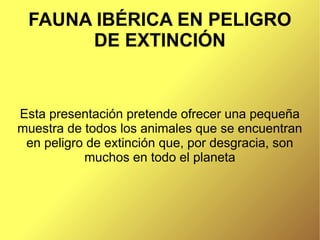 FAUNA IBÉRICA EN PELIGRO
      DE EXTINCIÓN


Esta presentación pretende ofrecer una pequeña
muestra de todos los animales que se encuentran
 en peligro de extinción que, por desgracia, son
           muchos en todo el planeta
 