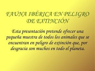 FAUNA IBÉRICA EN PELIGRO DE EXTINCIÓN Esta presentación pretende ofrecer una pequeña muestra de todos los animales que se encuentran en peligro de extinción que, por desgracia son muchos en todo el planeta. 